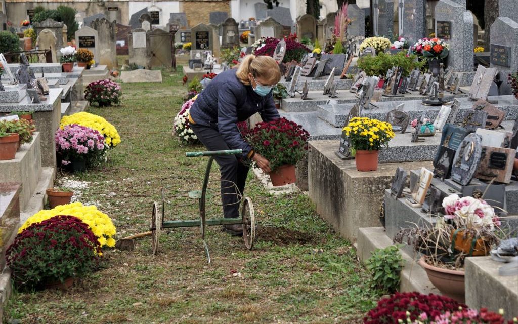 La Toussaint Fleurit Les Allees Du Cimetiere Voir Plus