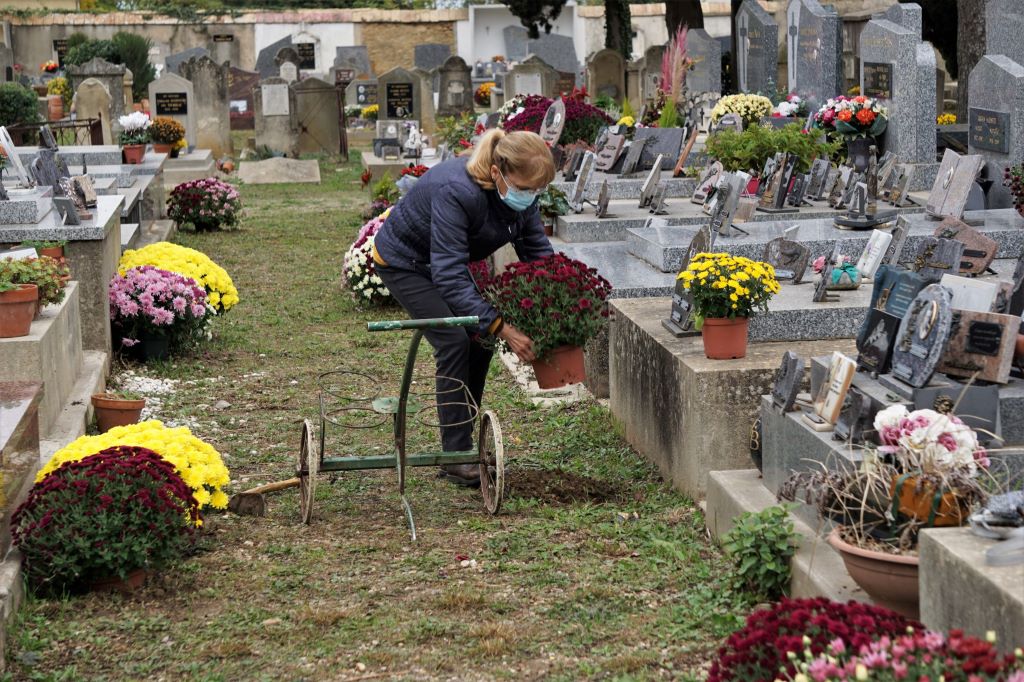You are currently viewing La toussaint fleurit les allées du cimetière.