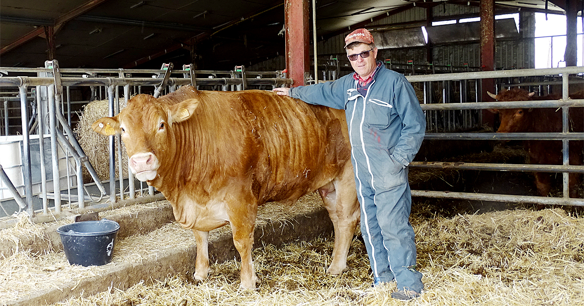 L’exploitation bovine aimarguoise Clos Saint-Jean a reçu un prix d’excellence