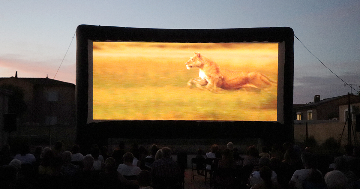 You are currently viewing « Le Loup et le Lion » cartonne à Gallician