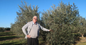 Lire la suite à propos de l’article Gallician : Les chocs climatiques ont eu un effet sur le rendement des olives selon l’agronome et moulinier Loïc Lossois