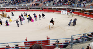 Lire la suite à propos de l’article Un festival en hommage au matador de toros Manolo Vanegas