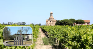 Terroir Di’Vin s’expose et se déguste à la Maison du Grand Site de France