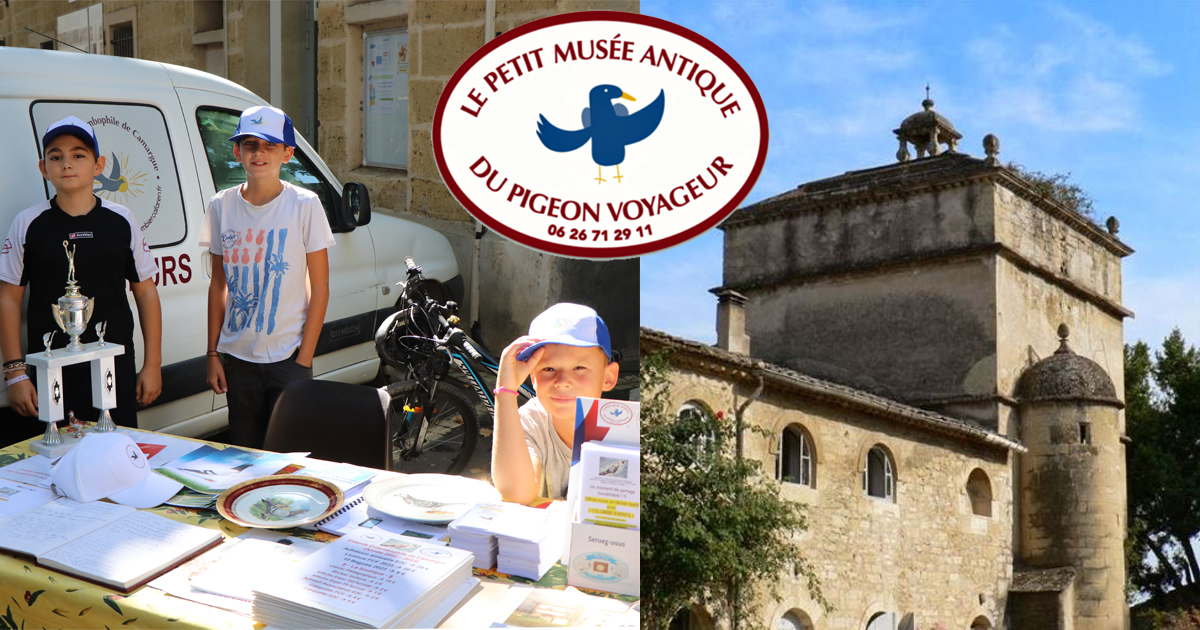 You are currently viewing Le Petit Musée Antique du Pigeon Voyageur se déplace au château de Teillan