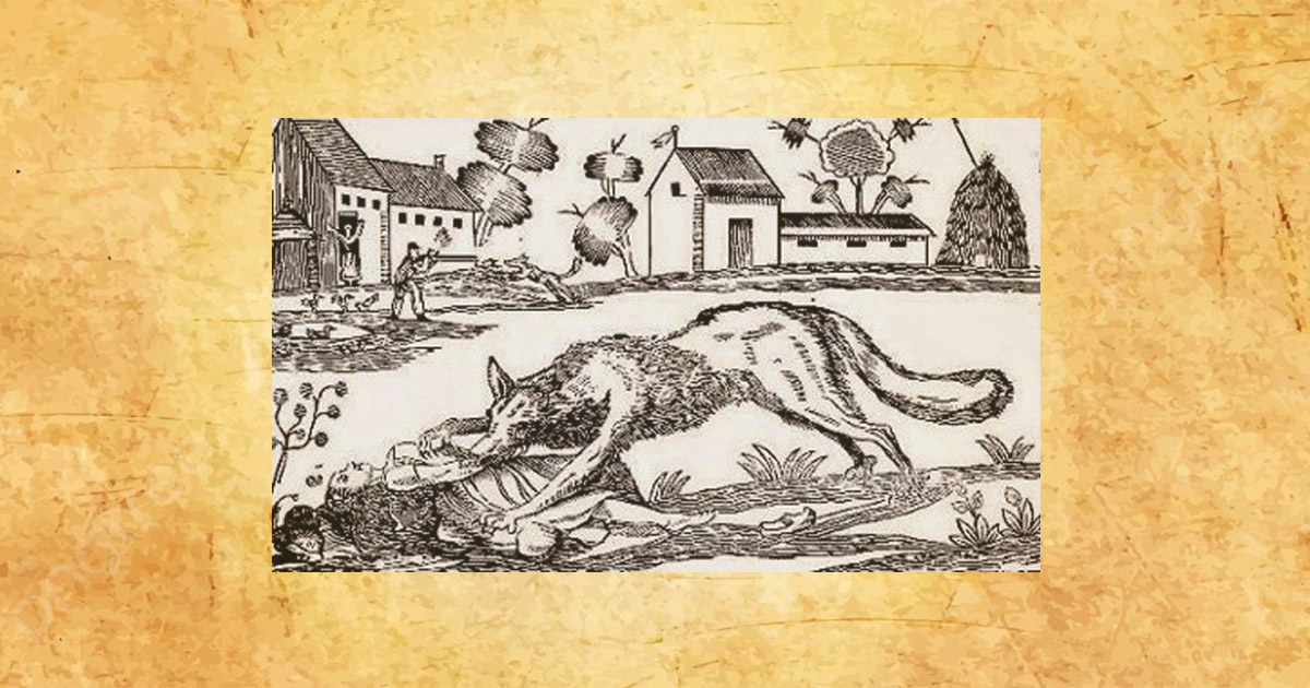 Lire la suite à propos de l’article 1710 : Attaque du Loup à Beauvoisin… Deux morts !