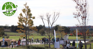 Vauvert : Ouverture des inscriptions « J’adopte un arbre ! »