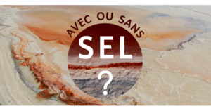 Exposition au Musée de la CamargueAvec ou sans sel ?