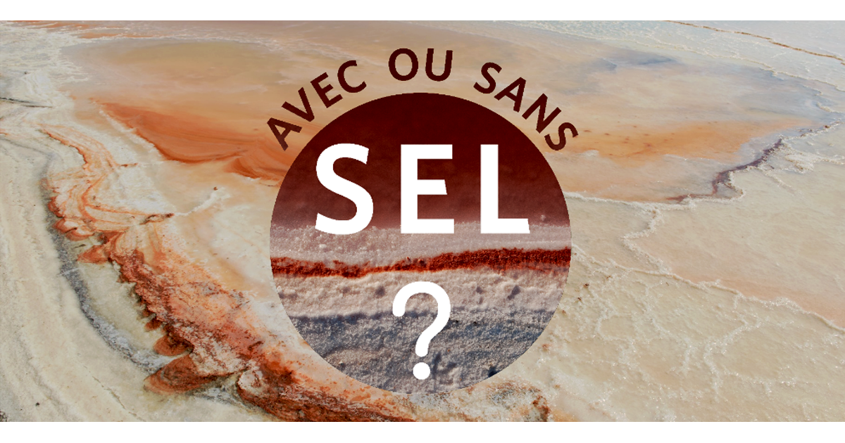 You are currently viewing Exposition au Musée de la Camargue<br><em>Avec ou sans sel ?</em></br>