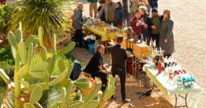 Marché du terroir & Vin Primeur Rouge 2024 au Domaine du Vistre