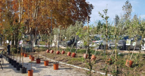 « J’adopte un arbre »Un après-midi sous le signe de la nature !