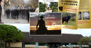 Le patrimoine camarguais à l’honneur ce samedi 30 novembre au Scamandre