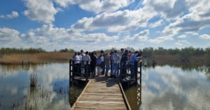 Lire la suite à propos de l’article De l’Espagne à Vauvert