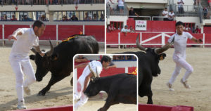 Lire la suite à propos de l’article <em>Contre-piste</em> La chronique Bouvine de Marie-France Sabatié<br>Le Grau du Roi : Souvenir Olivier Arnaud</br>