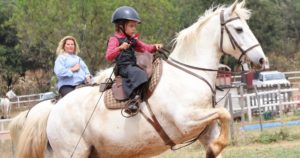 Lire la suite à propos de l’article 1ère édition concours open équitation, maniabilité et parcours en pays à la Manade Cayzac