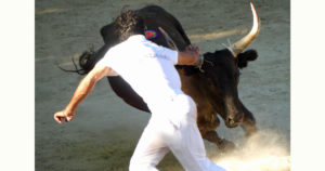 Lire la suite à propos de l’article <em>Contre-piste</em> La chronique Bouvine de Marie-France Sabatié<br>Sommières : Royale de la manade Bon</br>