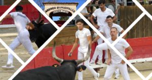 Lire la suite à propos de l’article <em>Contre-piste</em> La chronique Bouvine de Marie-France Sabatié<br>Vendargues : 10ème journée de la Main d’Or</br>