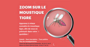 Lire la suite à propos de l’article <em>Syndicat mixte de la Camargue Gardoise</em> : Zoom sur le moustique tigre