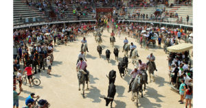 Lire la suite à propos de l’article Vauvert : Indétrônable journée à l’ancienne