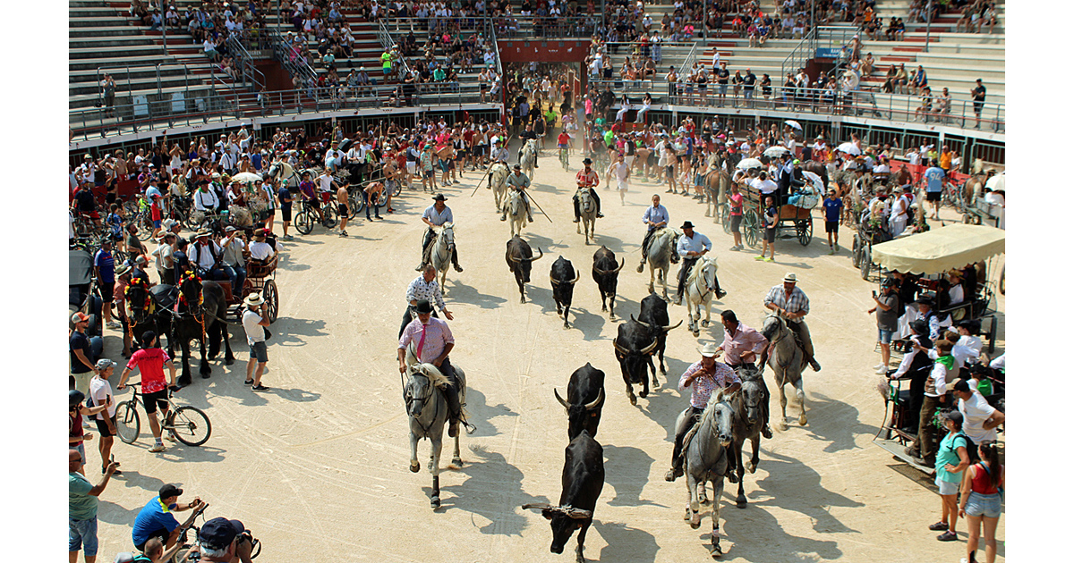 Lire la suite à propos de l’article Vauvert : Indétrônable journée à l’ancienne