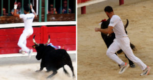 Lire la suite à propos de l’article <em>Contre-piste</em> La chronique Bouvine de Marie-France Sabatié<br>Vauvert : Finale du Trophée Camargue Médical</br>