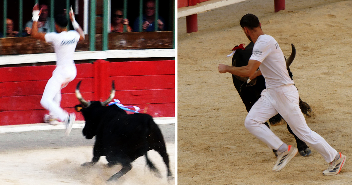 Lire la suite à propos de l’article <em>Contre-piste</em> La chronique Bouvine de Marie-France Sabatié<br>Vauvert : Finale du Trophée Camargue Médical</br>