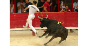 Lire la suite à propos de l’article <em>Contre-piste</em> La chronique Bouvine de Marie-France Sabatié<br>Mauguio : Souvenir Manu et José</br>