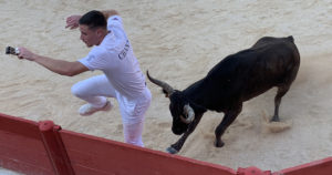 Lire la suite à propos de l’article Vauvert – Domino (manade Plo) et Tamarin (manade Lautier) ressortent d’une course plaisante