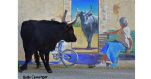 Lire la suite à propos de l’article La « Fe di Biou » à Beauvoisin