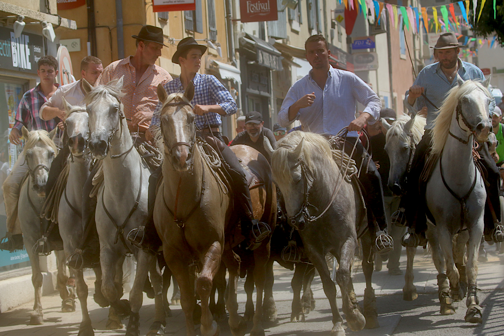 Lire la suite à propos de l’article Retour en images sur la fête de Vauvert 2025