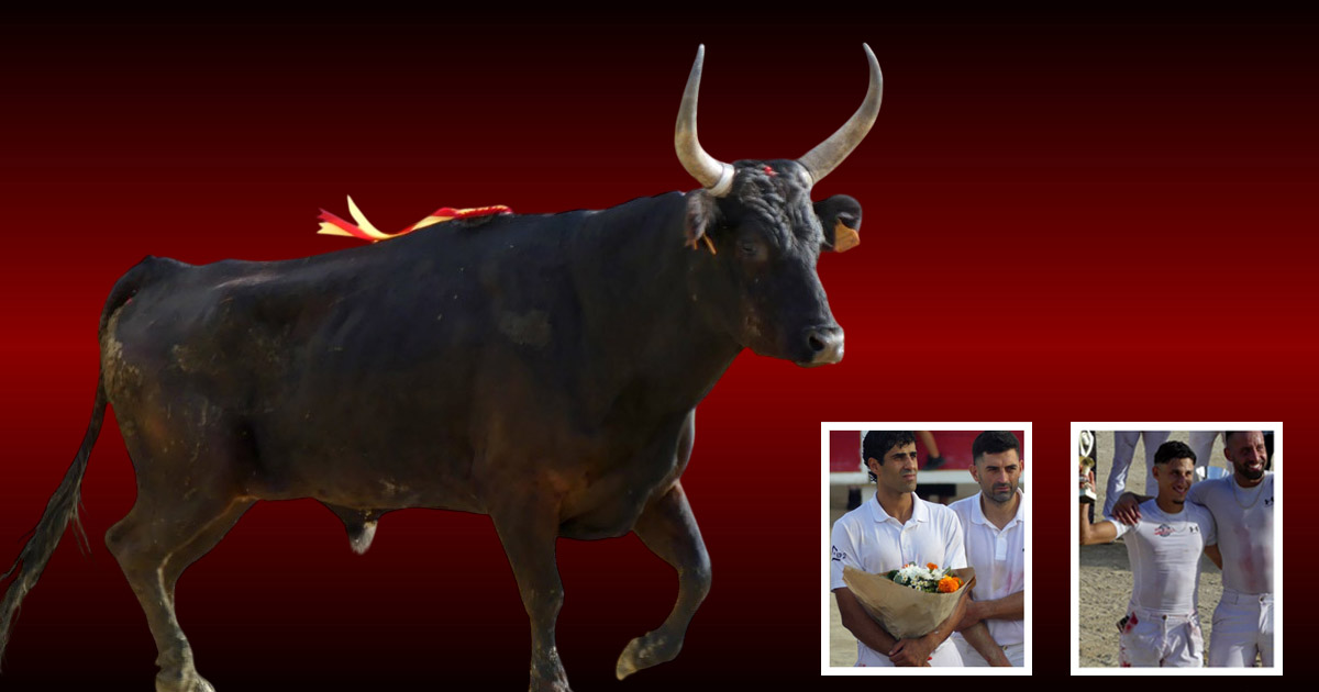 Lire la suite à propos de l’article <em>Contre-piste</em> La chronique Bouvine de Marie-France Sabatié<br>Le Grau du Roi : Première journée du Trophée de la Mer</br>