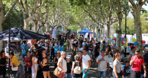 Lire la suite à propos de l’article Ce samedi 6 septembre, c’est la fête des associations à Vauvert