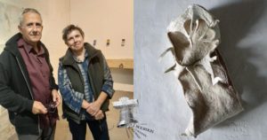 Lire la suite à propos de l’article Anne Pons et Rémy Dell’Aglio exposent au Bourdon à Vauvert jusqu’au 15 novembre