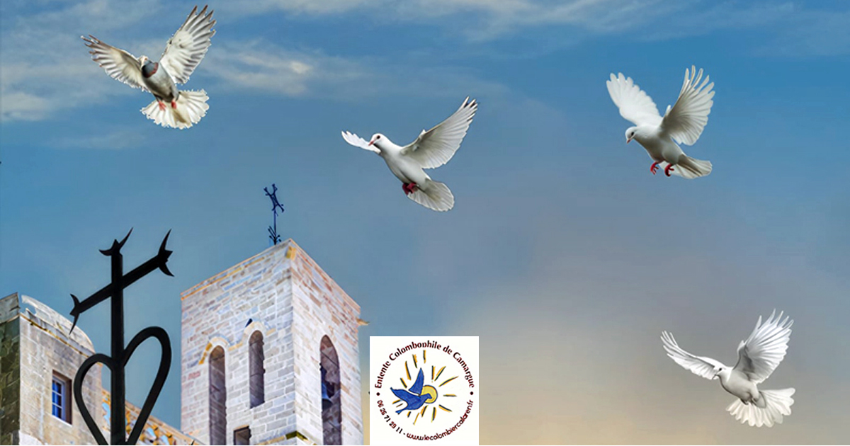 Lire la suite à propos de l’article Les trois thèmes développés par L’Entente Colombophile de Camargue