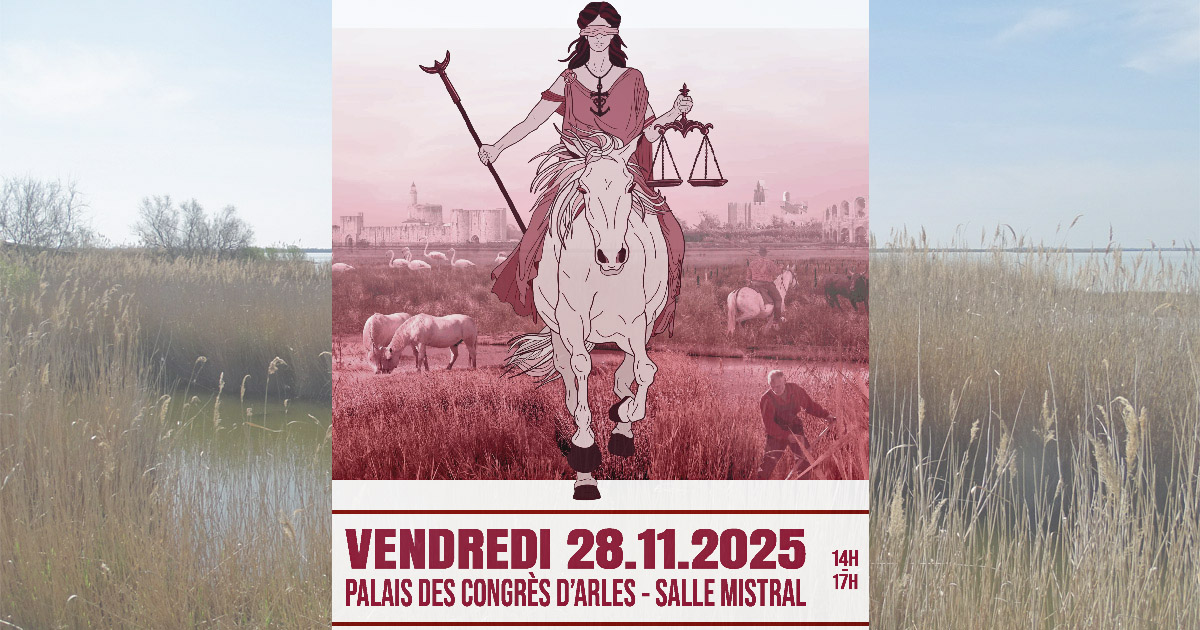 You are currently viewing Ce vendredi à Arles : Un procès fictif qui met en scène le sel