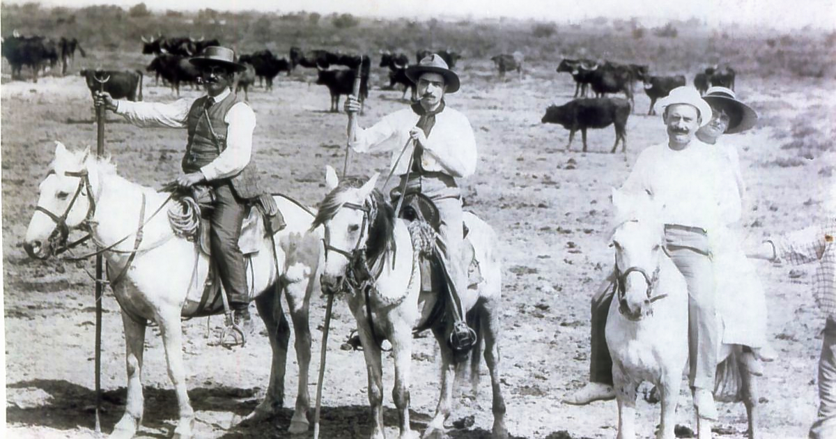 You are currently viewing La Manade Courtin de Beauvoisin