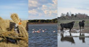 Journée mondiale des zones humides