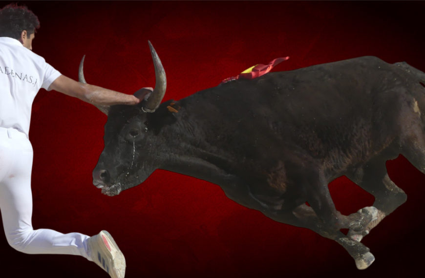 Contre-piste La chronique Bouvine de Marie-France SabatiéMauguio : Royale de la Manade Rouquette