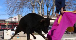 Lire la suite à propos de l’article Journée taurine d&rsquo;El Campo à Gallician