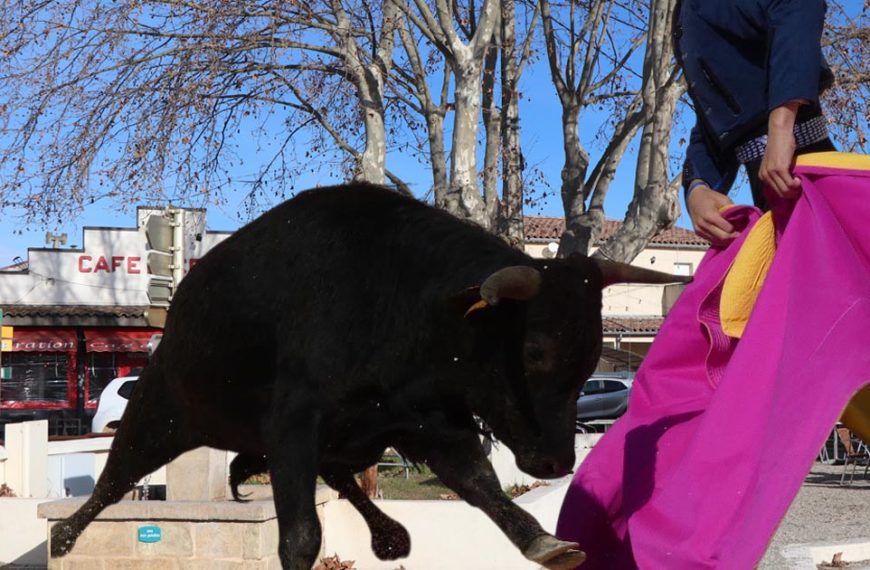 Journée taurine d’El Campo à Gallician