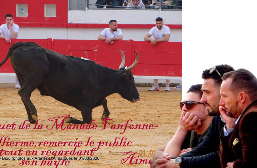 Contre-piste La chronique Bouvine de Marie-France SabatiéAimargues : Royale des espoirs de la manade Fanfonne Guillierme