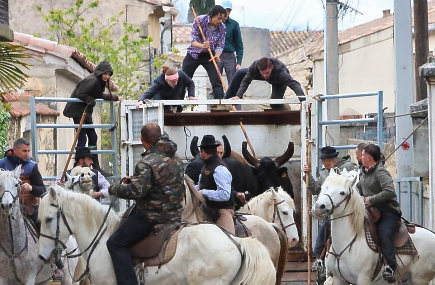 ouverture saison taurine