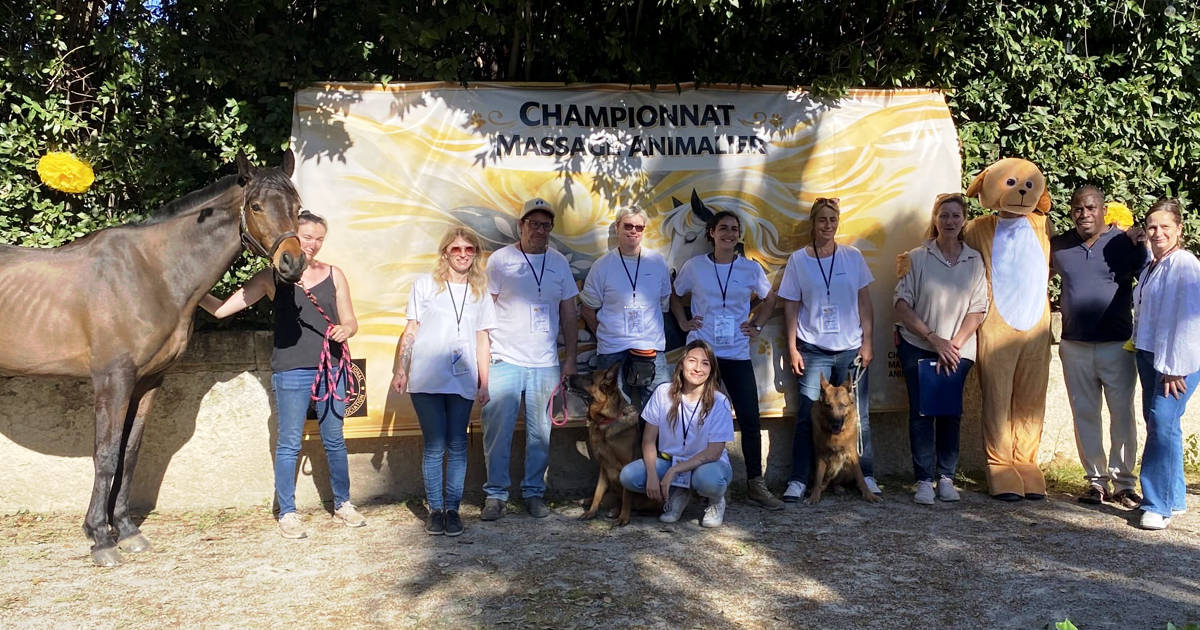 Lire la suite à propos de l’article Pour le bien-être et la santé de votre animal