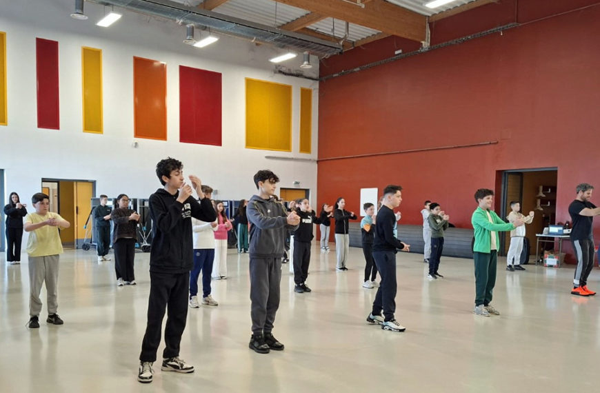 Collège La Vallée verte À la découverte du flamenco