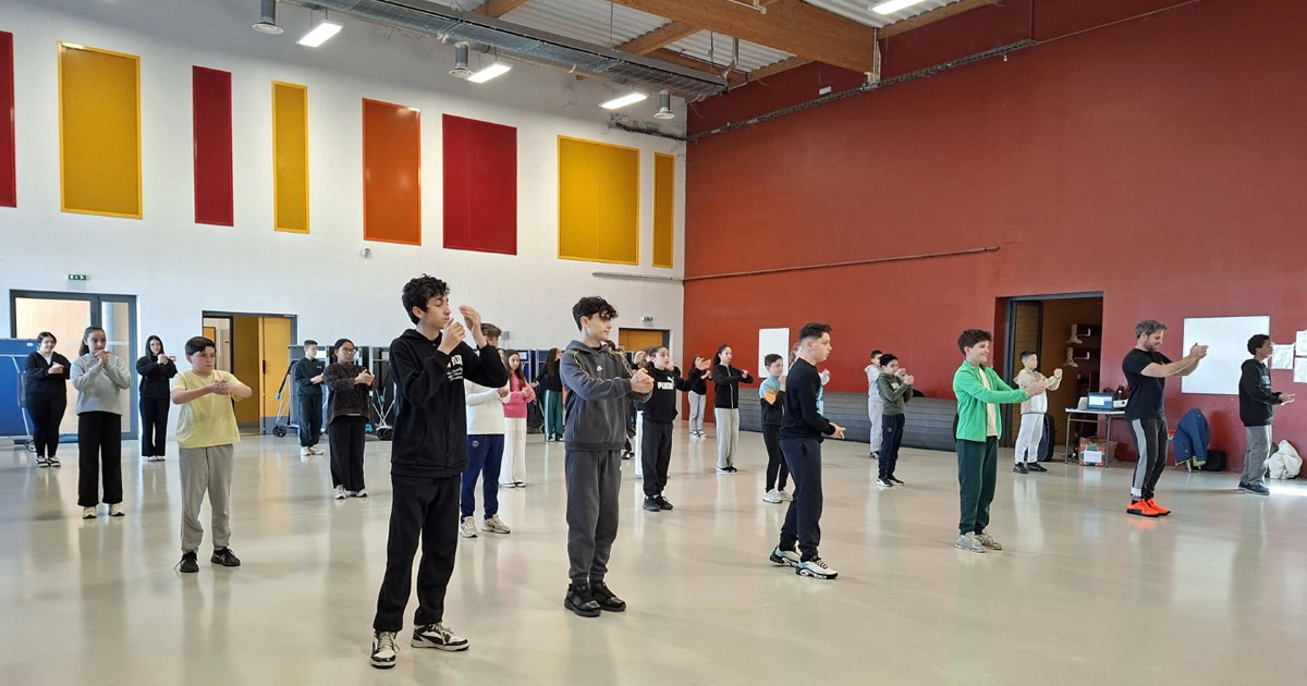 You are currently viewing <em>Collège La Vallée verte</em>  À la découverte du flamenco