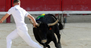 Contre-piste La chronique Bouvine de Marie-France SabatiéVauvert : Trophée Camargue Médical – Deuxième journée