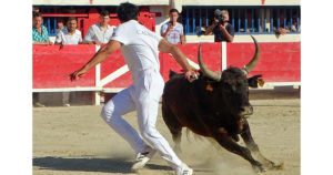 Contre-piste La chronique Bouvine de Marie-France SabatiéLe Grau du Roi : Royale de la Manade Rouquette – Corail ovationné