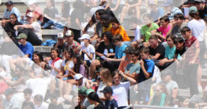 Le collège a participé à la journée camarguaise de Vauvert