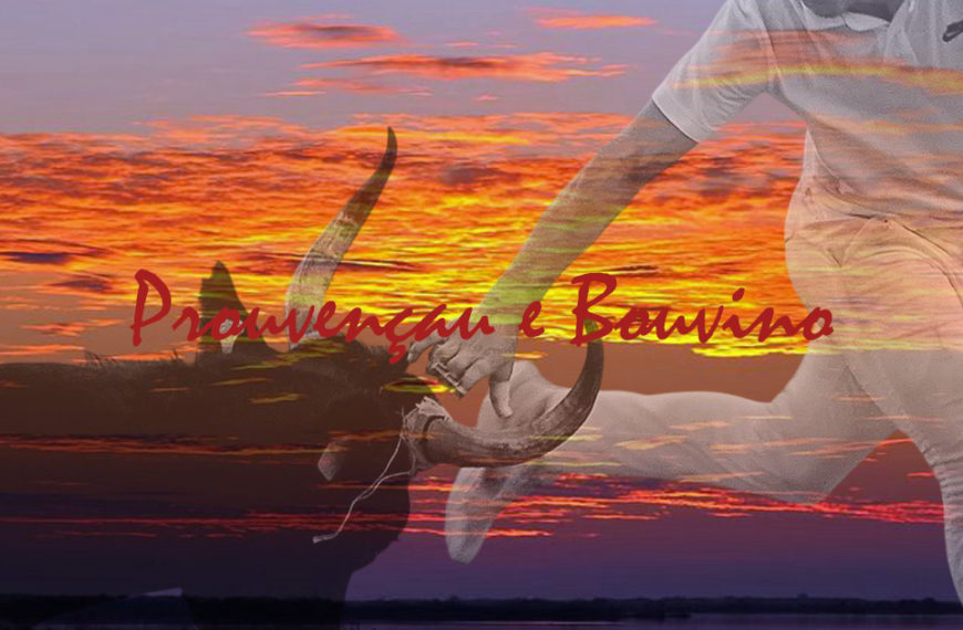 Prouvençau e Bouvino : An escapa