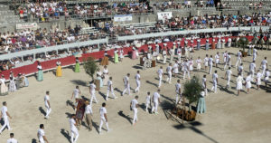 Contre-piste La chronique Bouvine de Marie-France SabatiéArles : 94ème Cocarde d’Or