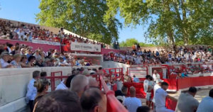 Contre-piste La chronique Bouvine de Marie-France SabatiéBeaucaire : En prélude de la Finale de la Palme d’Or